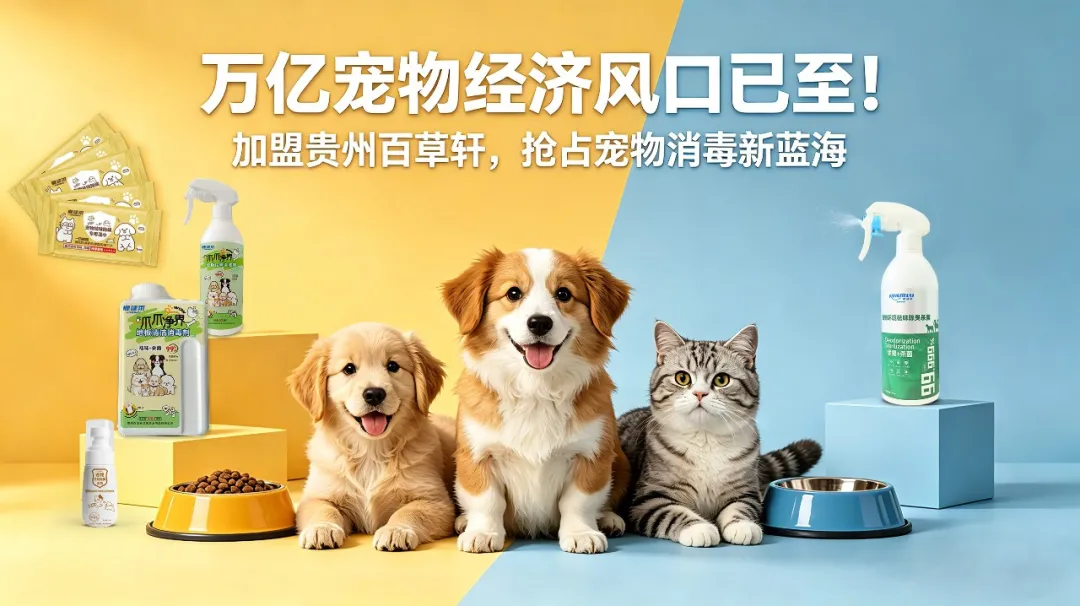 人宠共生安心养宠指南:宠物消毒用品怎么选?温和安全品牌推荐 人宠共生安心养宠指南:宠物消毒用品怎么选?温和安全品牌推荐