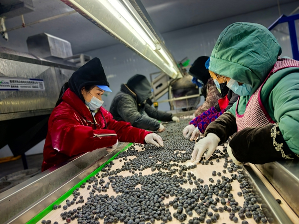 贵州:金融“活水”助力四大特色产业提质增效 贵州:金融“活水”助力四大特色产业提质增效