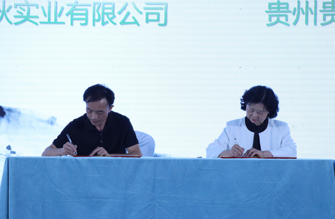 2026贵州绿茶(全国农产品产销大会·南部片区)产销推介活动在贵阳举行 2026贵州绿茶(全国农产品产销大会·南部片区)产销推介活动在贵阳举行